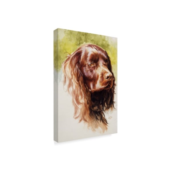 Barbara Keith 'Am Water Spaniel' Canvas Art,22x32